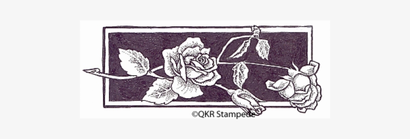 Garden Roses, transparent png