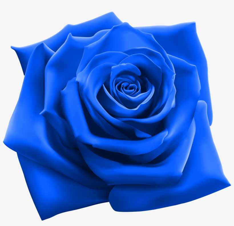 Blue Rose Clipart Image Gallery Yopriceville High Quality - Snoop Dogg 220, transparent png