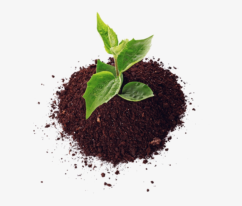 Complete Gardening Inc - Soil, transparent png