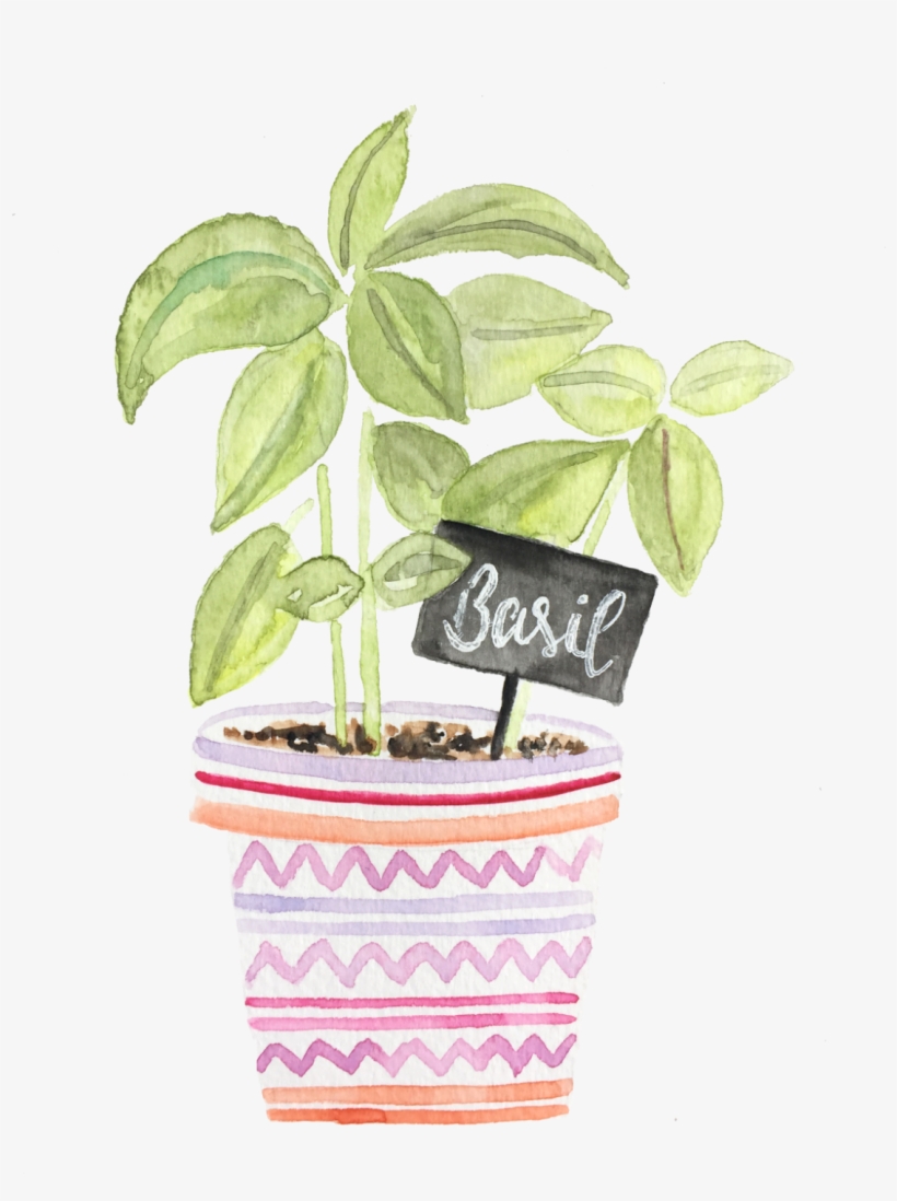 Featured - Flowerpot, transparent png