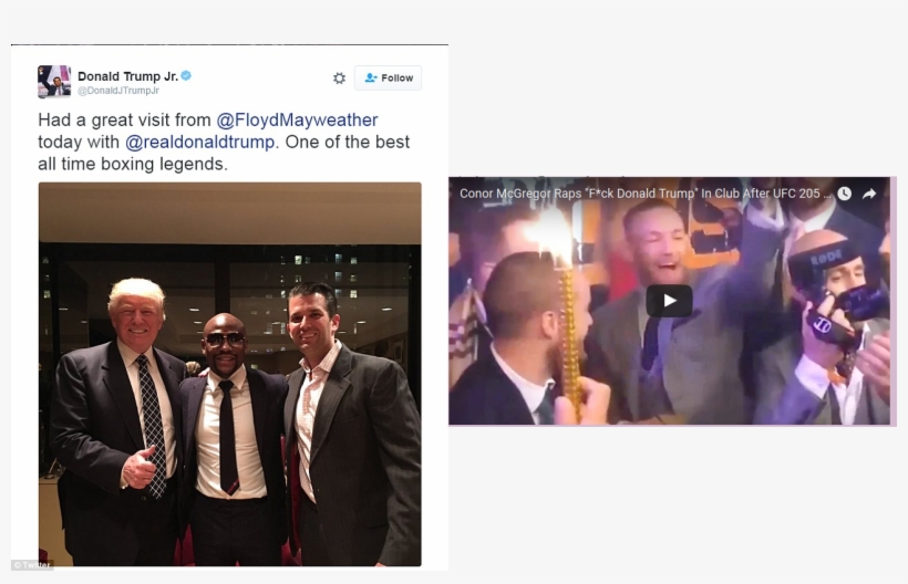 The Trump Curse Is Real Folks - Trump Curse Is Real, transparent png
