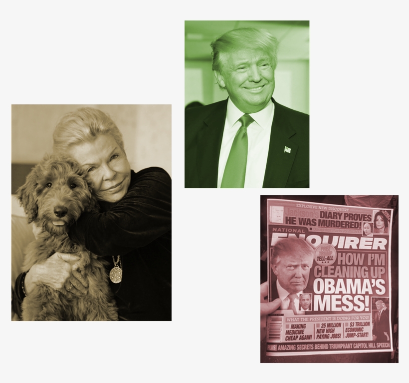A Dog, A Trump, & A National Enquirer - Companion Dog, transparent png