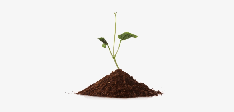 And So The First Step Should Always Be To Confirm Your - Pile Of Soil, transparent png