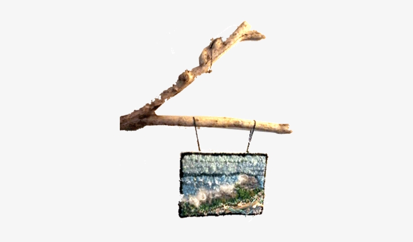 Donna Legere - Driftwood, transparent png