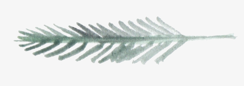 1, transparent png