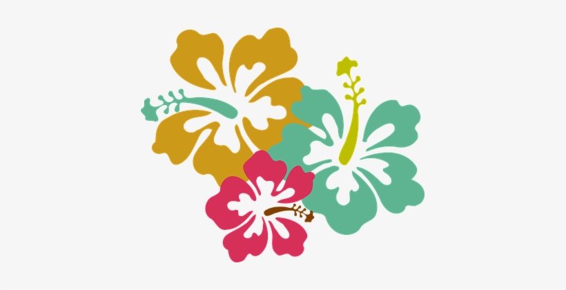 Flower Hibiscus Pink Yellow Blue Fresh Tou - Hibiscus Clip Art, transparent png