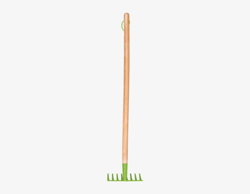 Wood, transparent png
