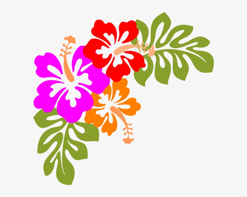 Compass Lodge Luau - Black And White Hibiscus Flowers, transparent png
