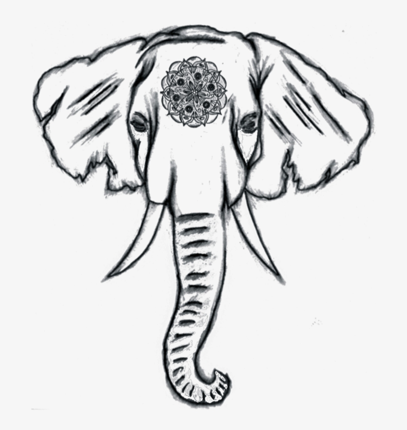 Drawn Elephant Head - Things To Draw Elephant, transparent png