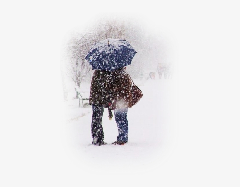 Artist - Romantic Winter Wonderland, transparent png