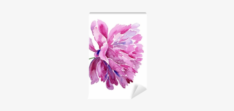 Acuarelas Peonias, transparent png