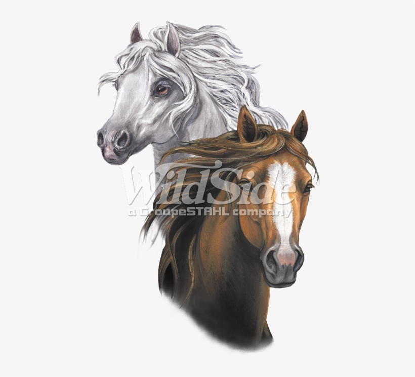 Two Horse Heads - Children's Park Avenue Little Girls White Brown Horse, transparent png