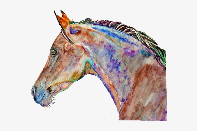 Stallion, transparent png