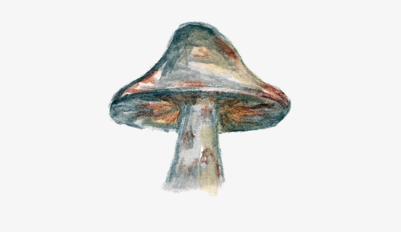 Orangepeel Paperie - Vegetable, transparent png