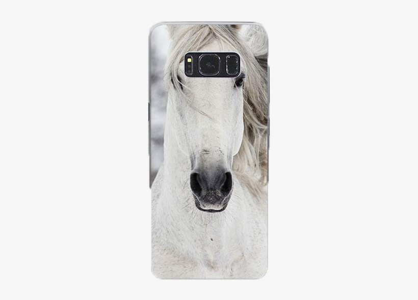 White Horse Head - Pferde Dvd, transparent png