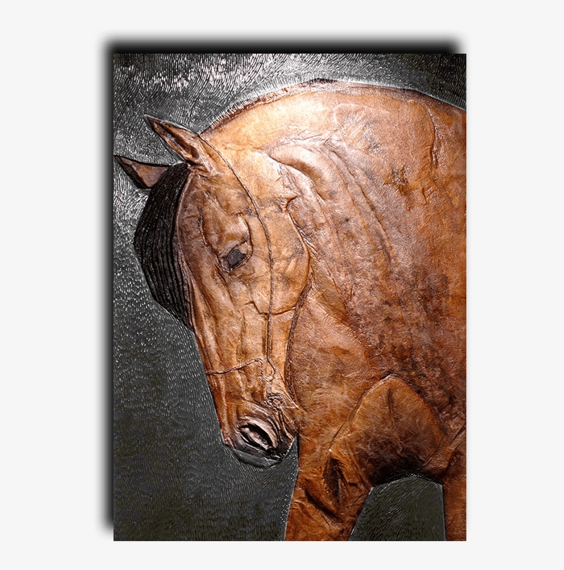 Frasca Halliday Montana Exposures International - Montana, transparent png