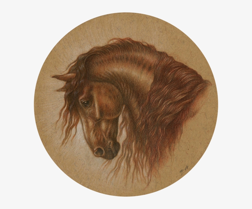 Graphite And Coloured Pencils With Touches Of Sepia - Stallion, transparent png