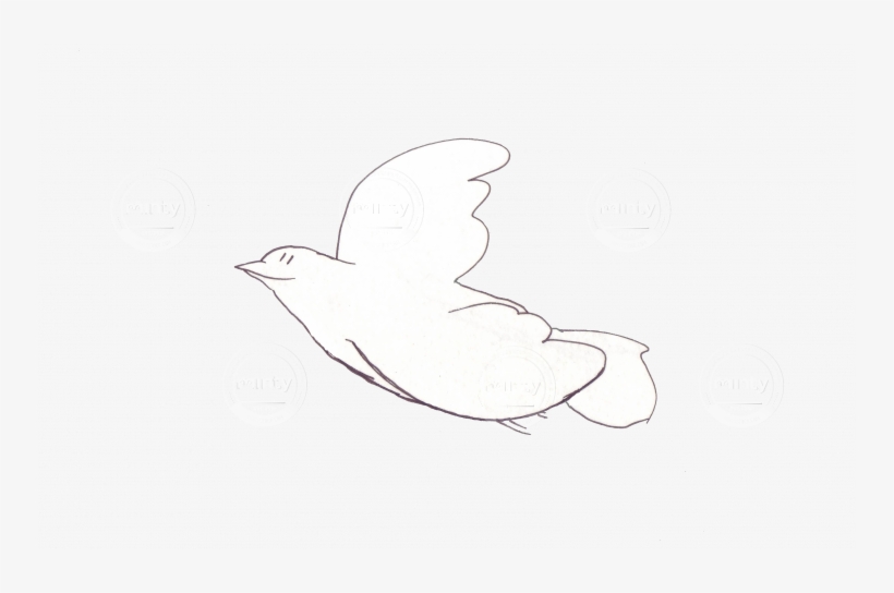Simple And Neat Flying Bird / Dove - Bird, transparent png