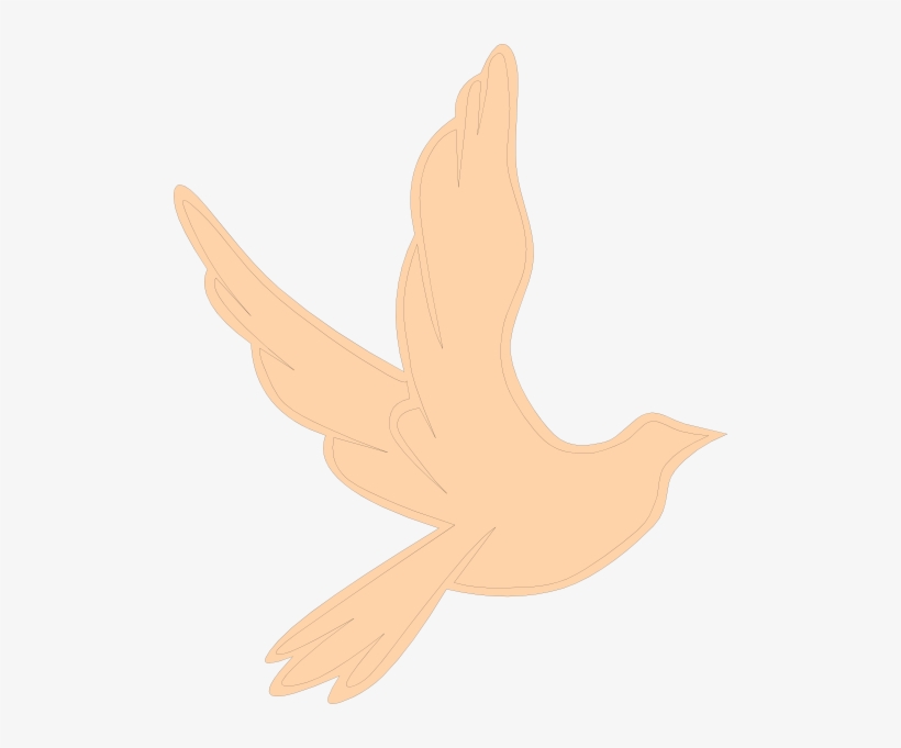 Flying Dove Clip Art - Clip Art, transparent png