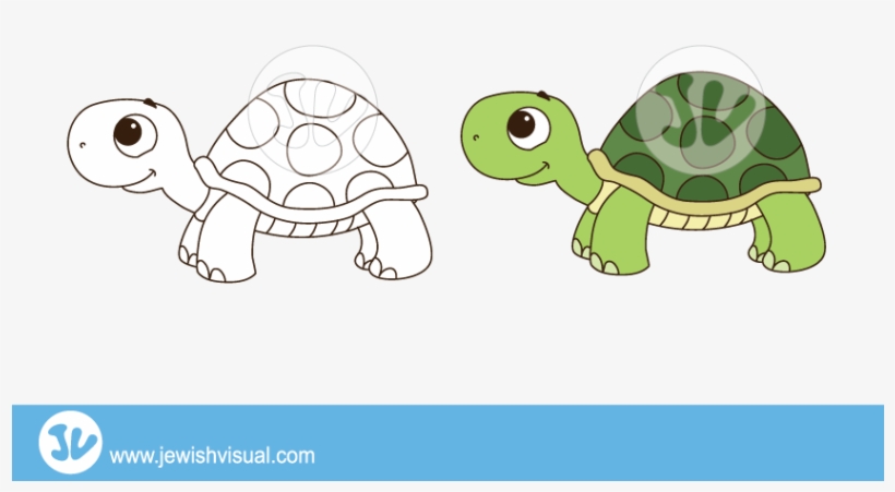 Turtle-clipart - צב איור, transparent png