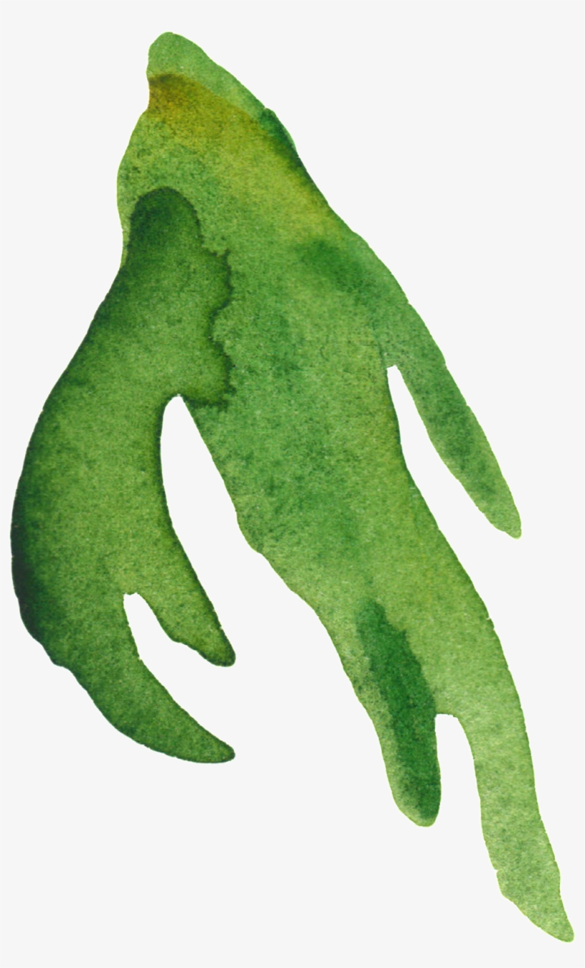 Long Branches And Leaves Transparent Decorative - Leaf, transparent png