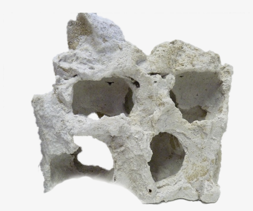 Having The Elements Of Decoration Placed In Fish Tanks, - Monument, transparent png