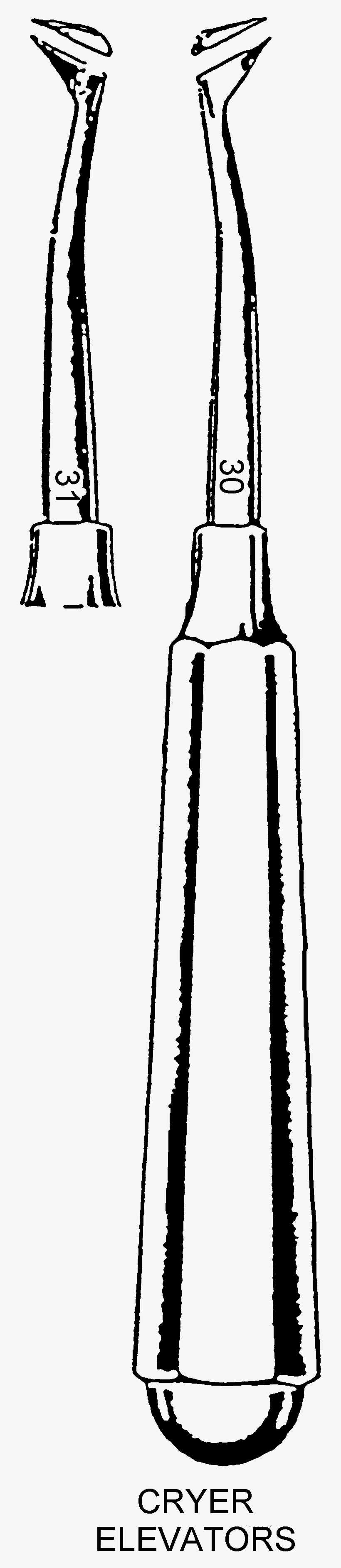 The Beaks Of The Forceps Are Designed To Firmly Grasp, transparent png