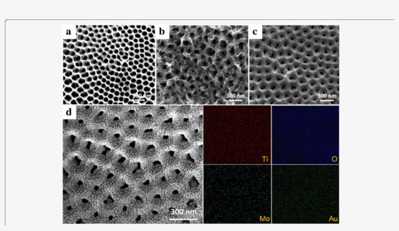 Sem Images Of A Tnts, B Tnts@mos 2 , C Tnts@moo, transparent png