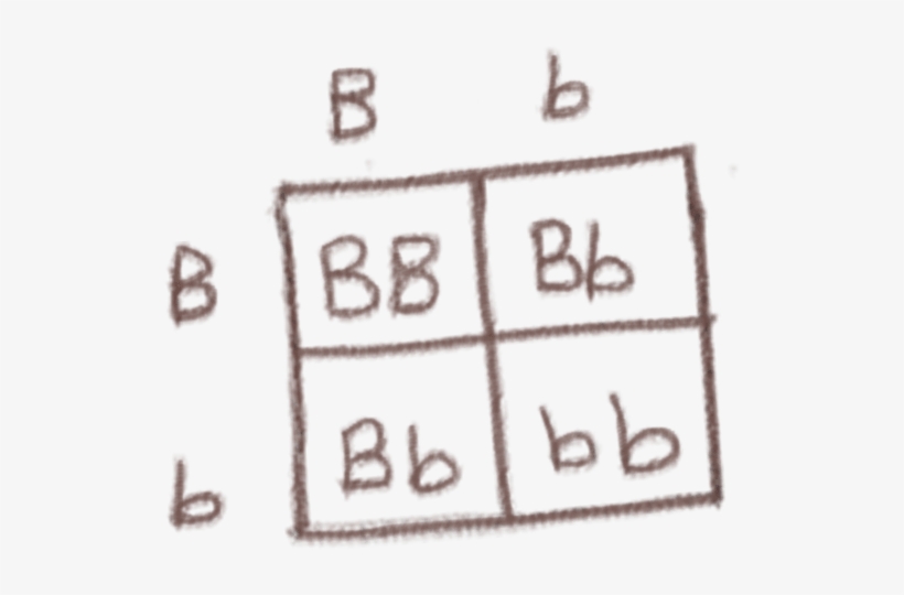 Tower Of Babel, transparent png