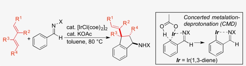 Yusuke Ebe, Miyuki Hatano, And Takahiro Nishimura*, transparent png