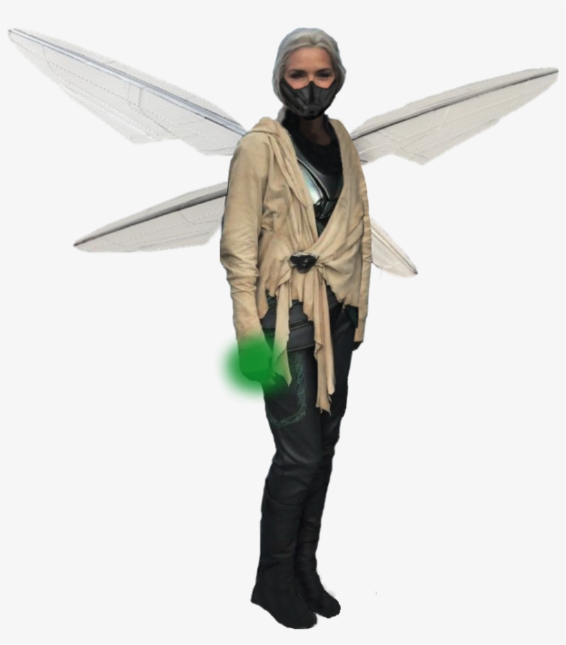 Wasp Png, transparent png