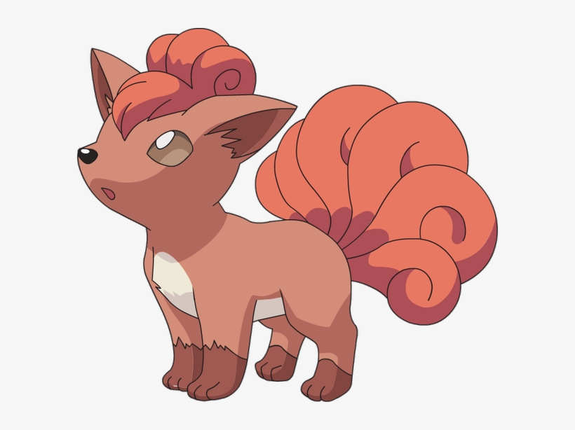 Pokmonhero On Twitter, transparent png