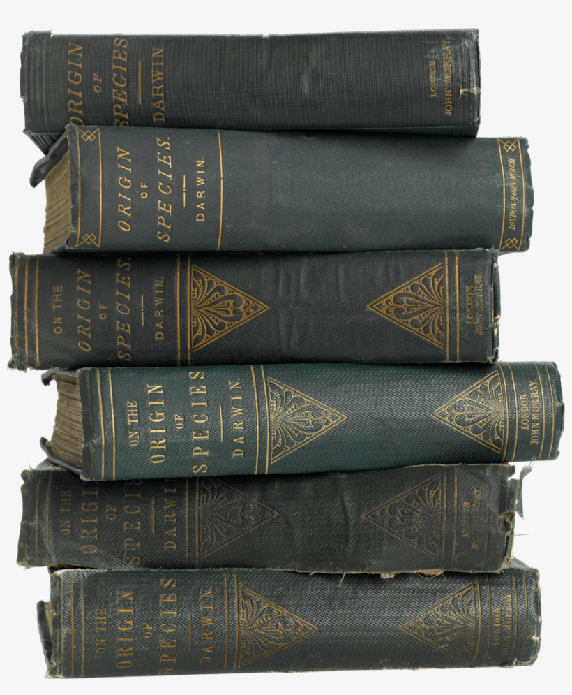 Animals And Plants Poorly Adapted To Their Environment, transparent png