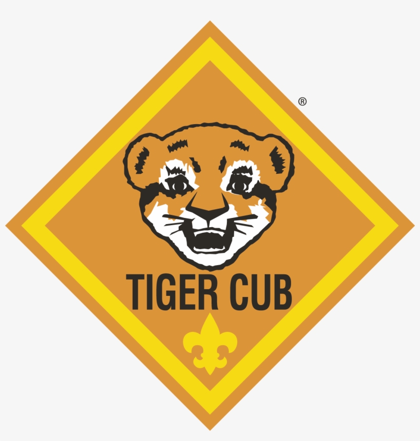 Tigers, transparent png