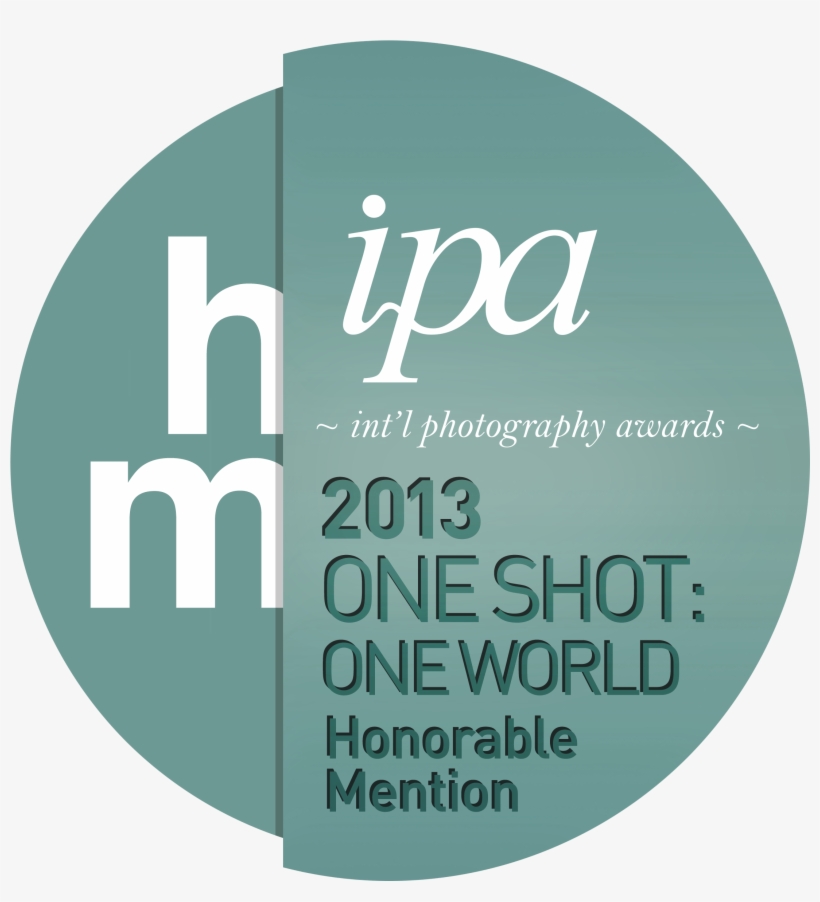 2013 Oneshot Ow Hm, transparent png