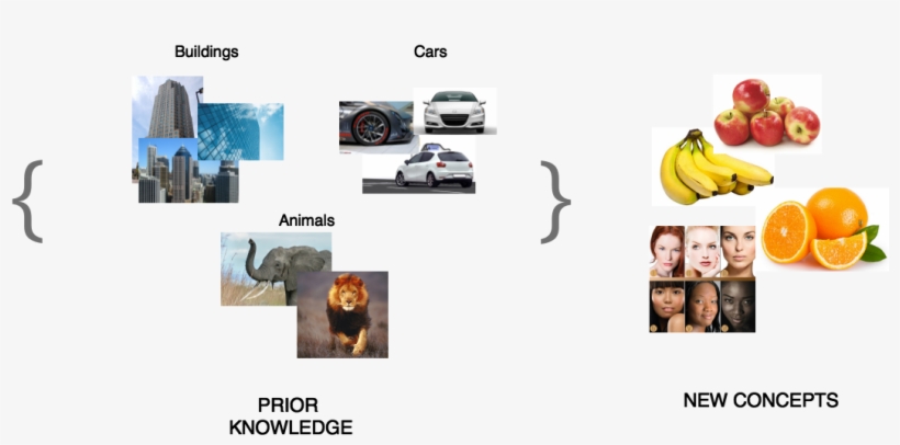 Imagine A System Trained On Images Of Buildings, Cars, transparent png