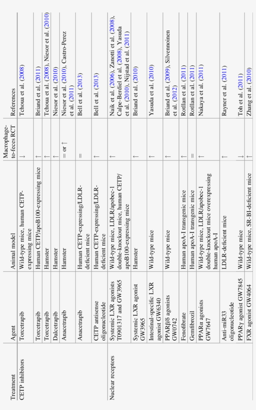 Effects Of Therapeutic Agents On In Vivo Macrophage, transparent png