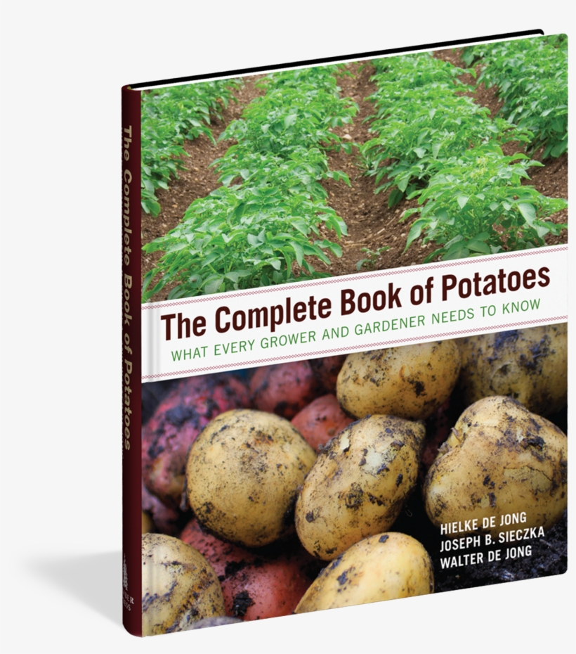 Potatoes Png, transparent png