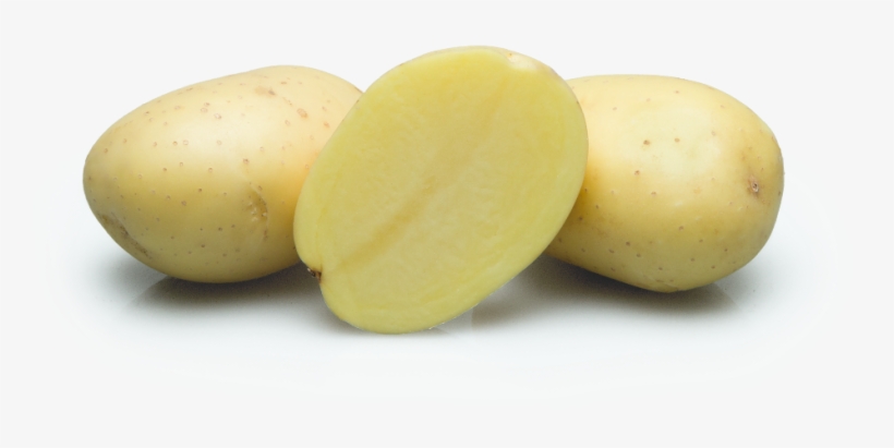 Stet-potato - Com/en Sitemap -, transparent png