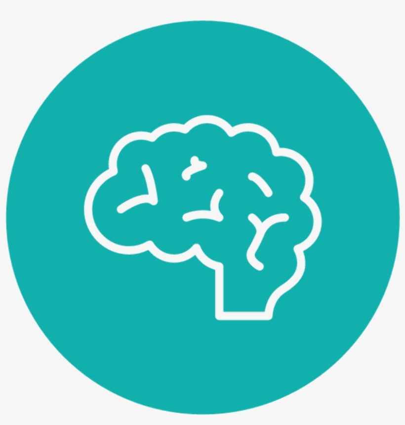 Brain, transparent png