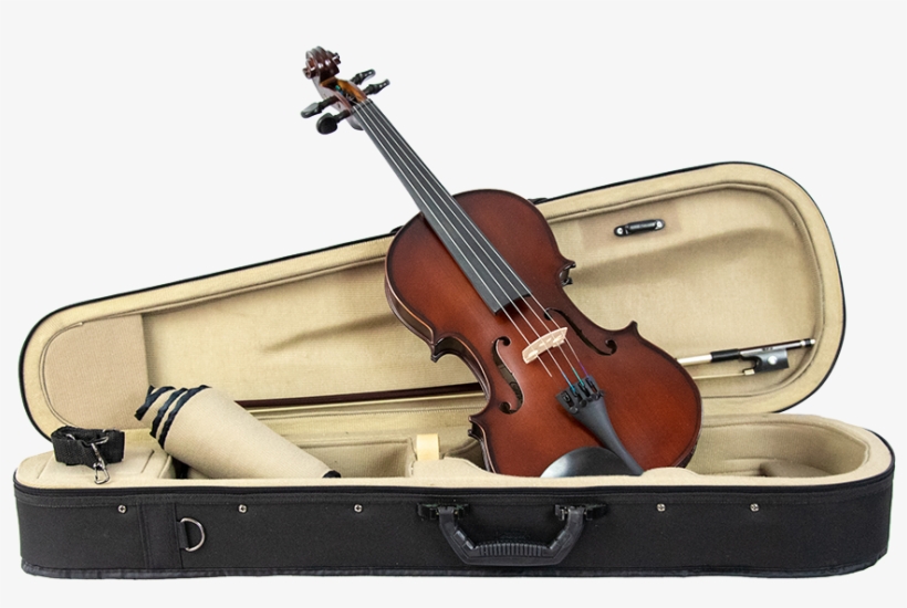 Viola Png, transparent png
