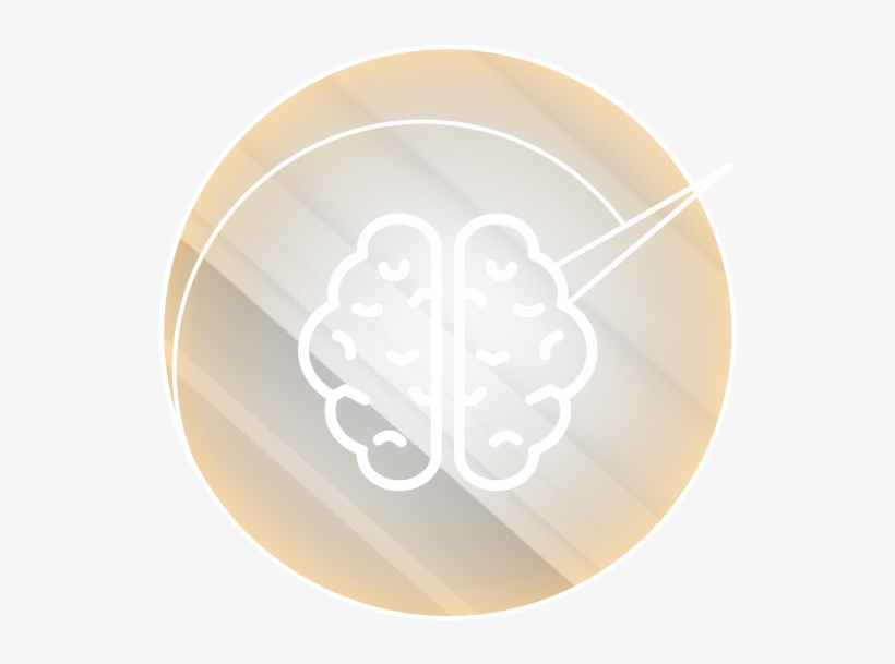Brain Optimization, transparent png