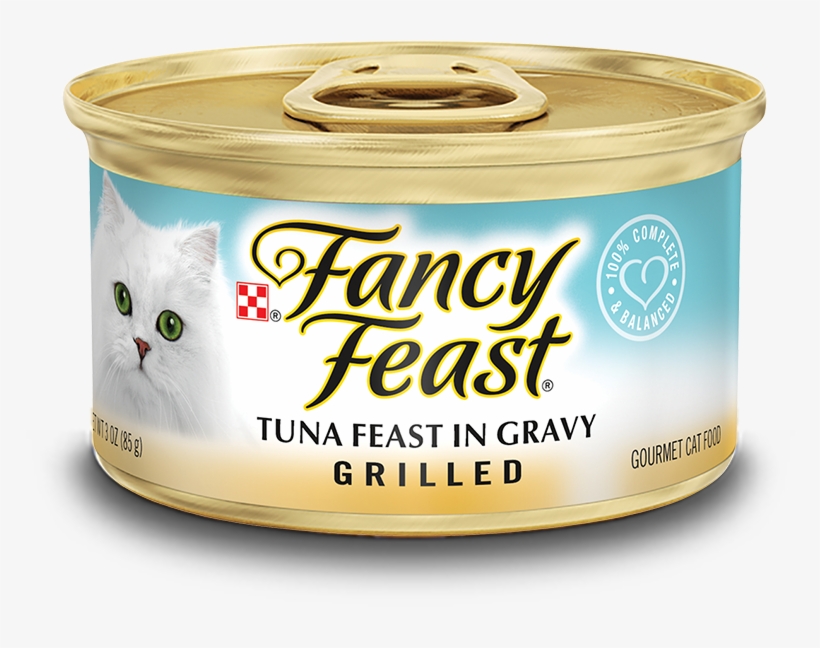 Grilled Tuna Feast In Gravy, transparent png