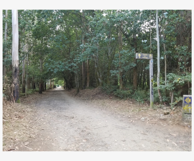 Dan And Anne Batty Enjoying The Solitude, transparent png