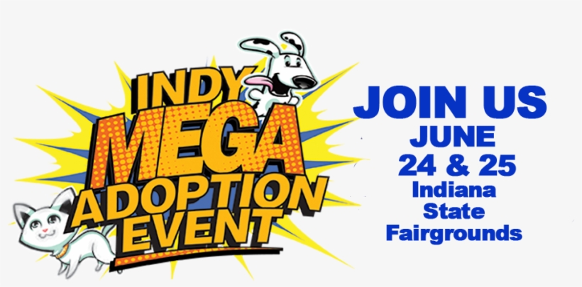 Mega Adoption Event, transparent png