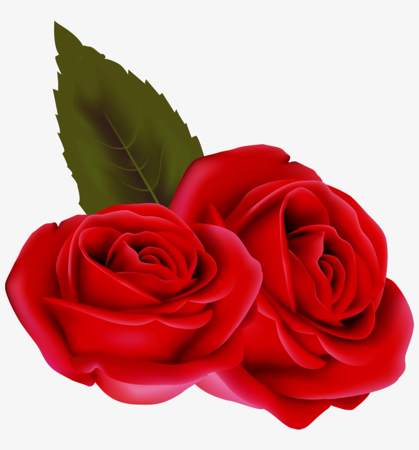 Bouqet De Roses Rosa Fleur Rouge Passion St Valentin, transparent png