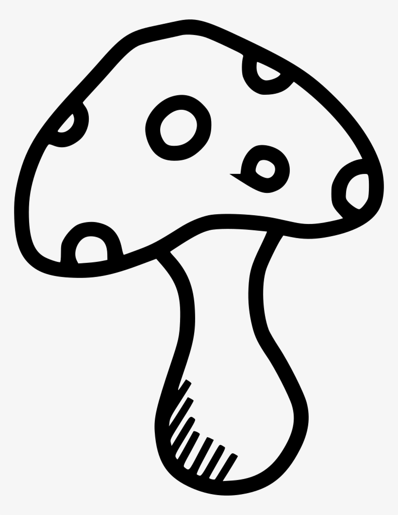 Plant Spring Food Svg, transparent png