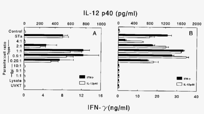 Cruzi Trypomastigotes Induce Il-12 P40 Production By, transparent png