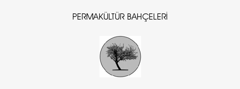 Pdf, transparent png