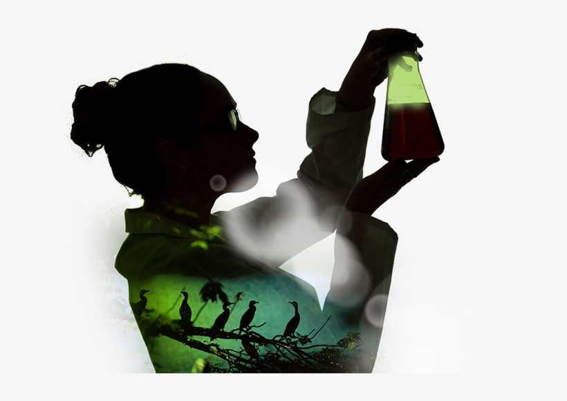 This Is Reflected In Investments And Initiatives For, transparent png